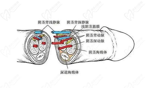 24小時(shí)男科在線咨詢平臺(tái)在線問(wèn)診