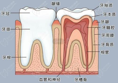 武漢中諾口腔根管治療的優(yōu)勢(shì)